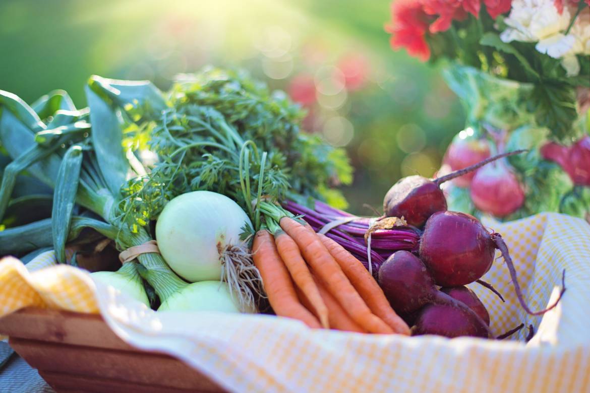 beets-carrots-close-up-533360.jpg